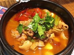 肥肠鸡-铁公鸡·四川料理(天环广场店)
