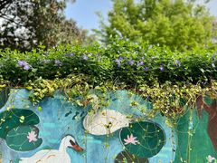 -白塘生态植物园