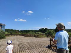 -塞罕坝国家级自然保护区