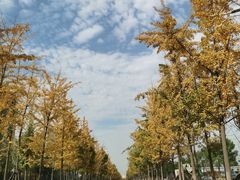 -首创奥特莱斯(西安店)