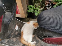 -尧坝古镇