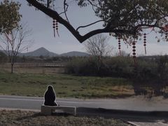 -良渚古城遗址公园