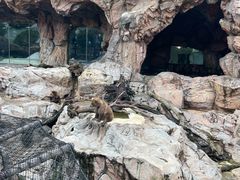 -珠海长隆海洋王国