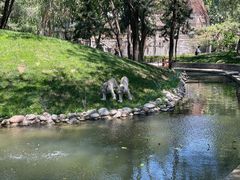 -北京野生动物园