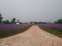 android_upload_pic-密云玫瑰情园