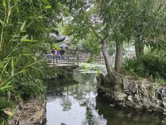 -无锡蠡湖国家湿地公园-蠡园