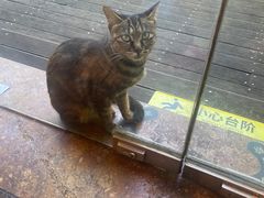 -浙江西子宾馆·瑶园咖啡厅