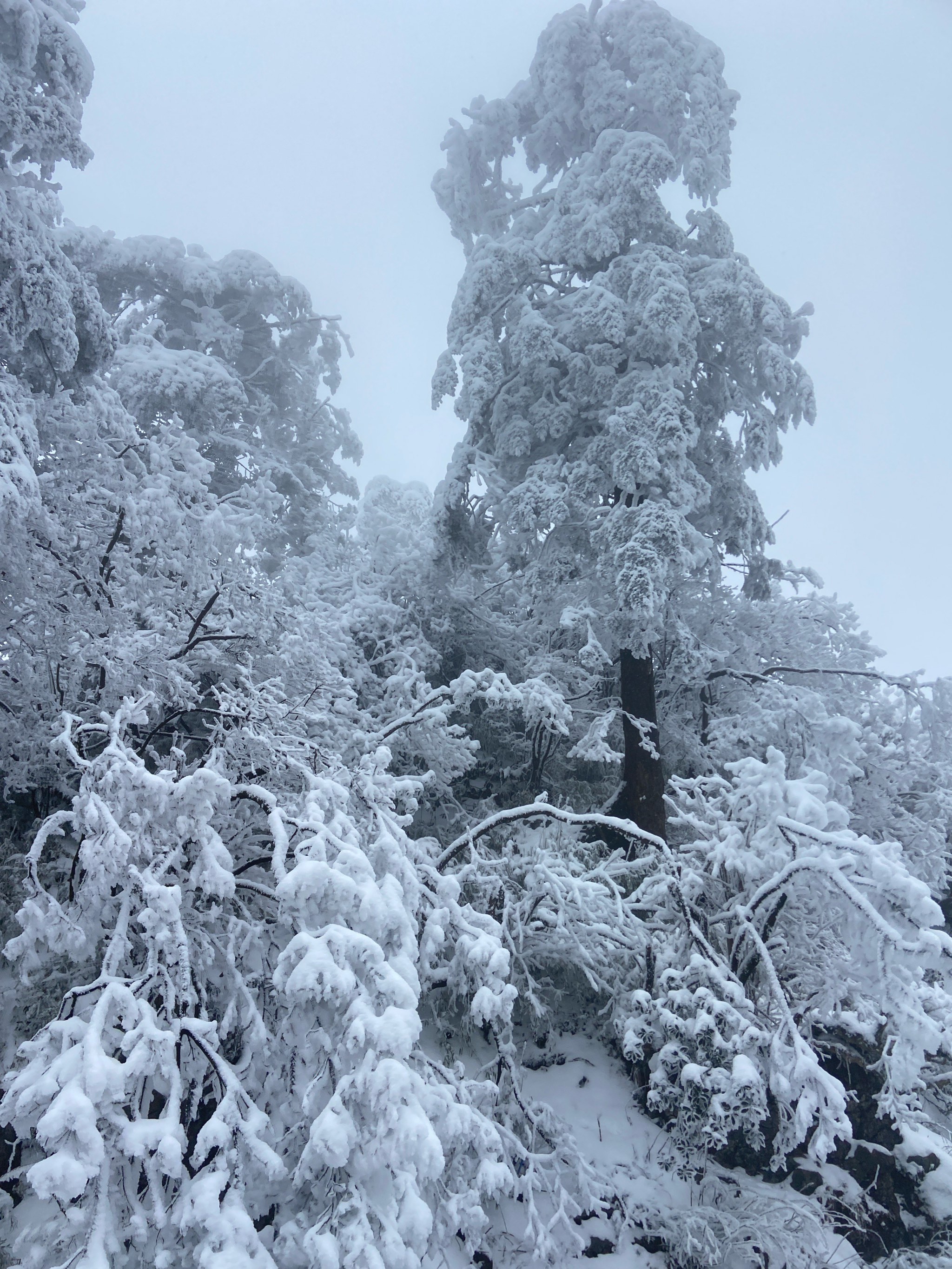 山上的雪景图片图片