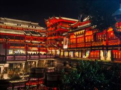 -南翔馒头店(豫园店)