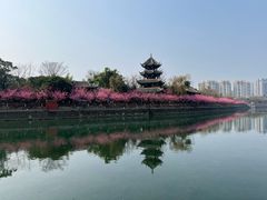 -望江楼公园