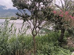 -大理洱源西湖景区