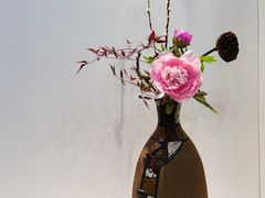 -上海辰山植物园