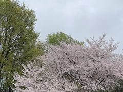 -玄武湖景区-情侣园游乐场