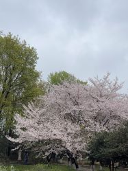 -玄武湖景区-情侣园游乐场