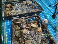 -西北农副产品中心批发市场(广安路店)