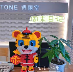 -SILKTONE诗丽堂美容