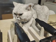 -Oasis绿洲银饰珍珠手作diy(壹方城店)