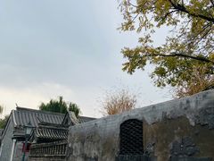 -春风习习