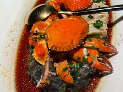 -醉庐·新上海菜(南京西路店)