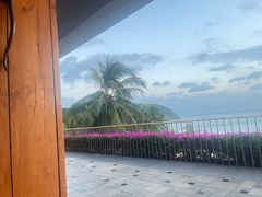 -日落吧·海景咖啡厅·餐酒吧·鸡尾酒·下午茶·乐队表演·浪漫夕阳·三亚文华东方酒店
