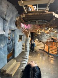 -Zoolung Zoolung动物主题公园(海信广场店)