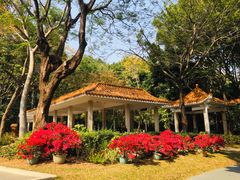 -人民公园(罗湖区)