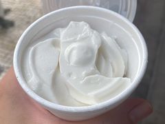 椰子雪糕-洪馨椰子