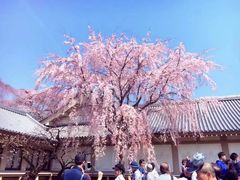 -醍醐寺