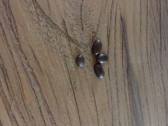 后院咖啡(虹桥坊店)-Bco豆库(星耀天地店)