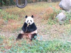 -宁波野生动物园