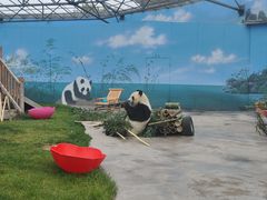 -鄂尔多斯野生动物园