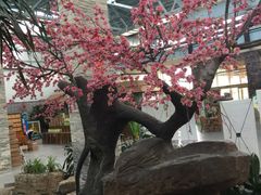 -森谷美食公园(杨行店)