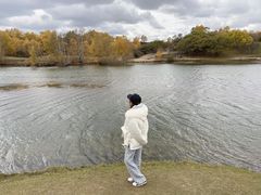 -乌兰布统景区-白桦林