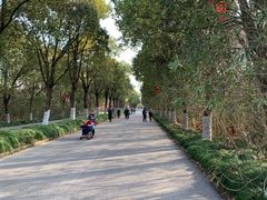 -上海海湾国家森林公园