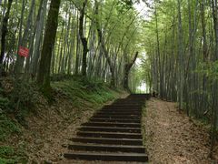 -西湖风景区十里琅珰-五云山
