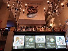 -猫咪博物馆(顶澳仔猫街店)