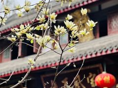 -青羊宫
