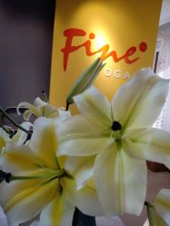 -FineYoga梵音瑜伽·普拉提