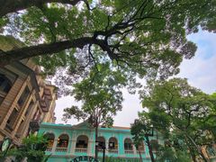 -星巴克臻选(广州沙面店)