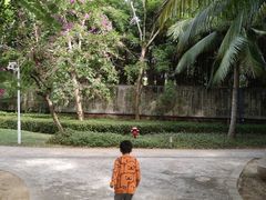 -三亚海棠湾万丽度假酒店