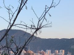 -白塔山公园