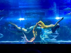 -成都浩海立方海洋公园