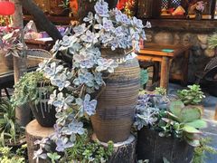 -尽善百年古院餐厅(王家老宅店)