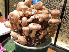 活体松香菇-捞王锅物料理(上海世茂广场店)