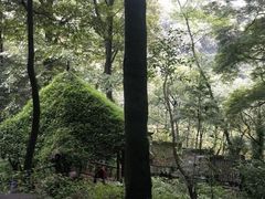 -青城山