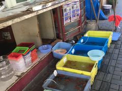 -本溪路花鸟市场(江浦路1709弄小区店)