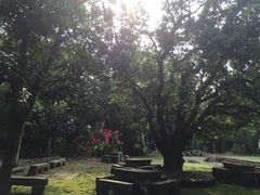 iphone_upload_pic-明秀园