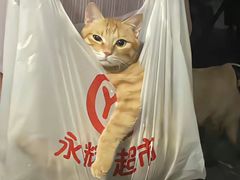 -新疆兄弟烧烤(兰田路店)