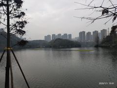 -重庆彩云湖湿地公园