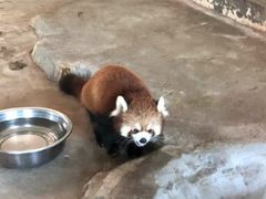 -哈尔滨北方森林动物园